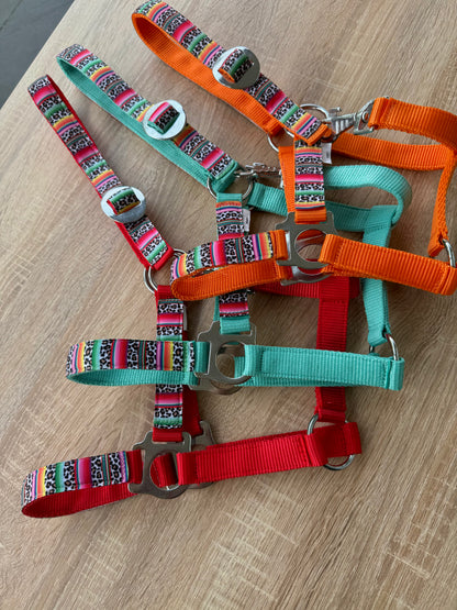 Happy Halsters x FMH - Colourful Panther Exclusive halter various colors