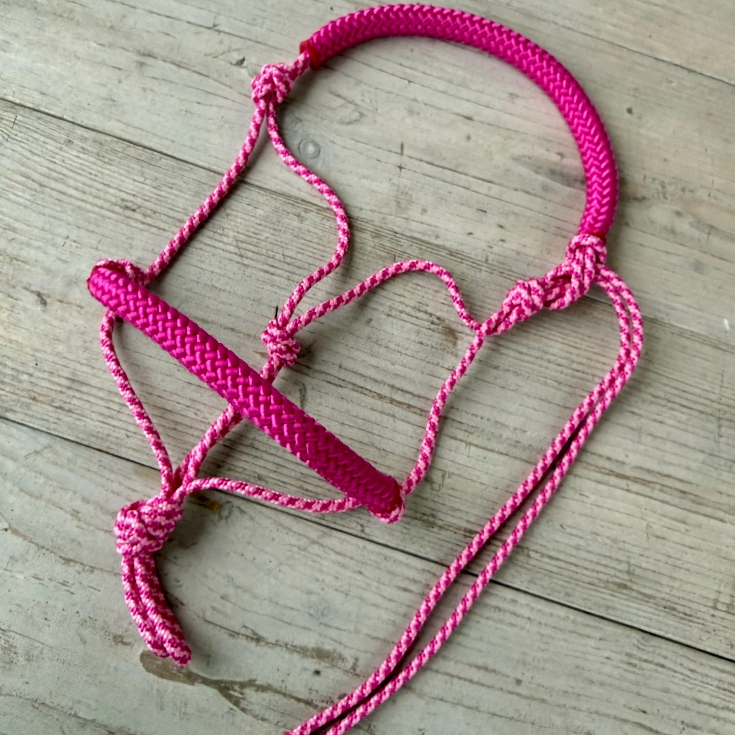 Rope halter sale - Loose rope halter 'Sweet Cheeks' pink mix/pink