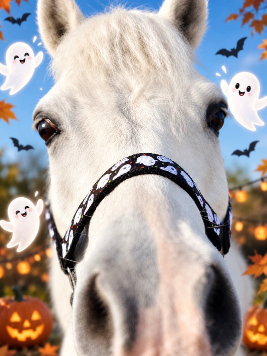 Happy Halster x FMH - Boo-tiful Halloween Exclusive capezza nera