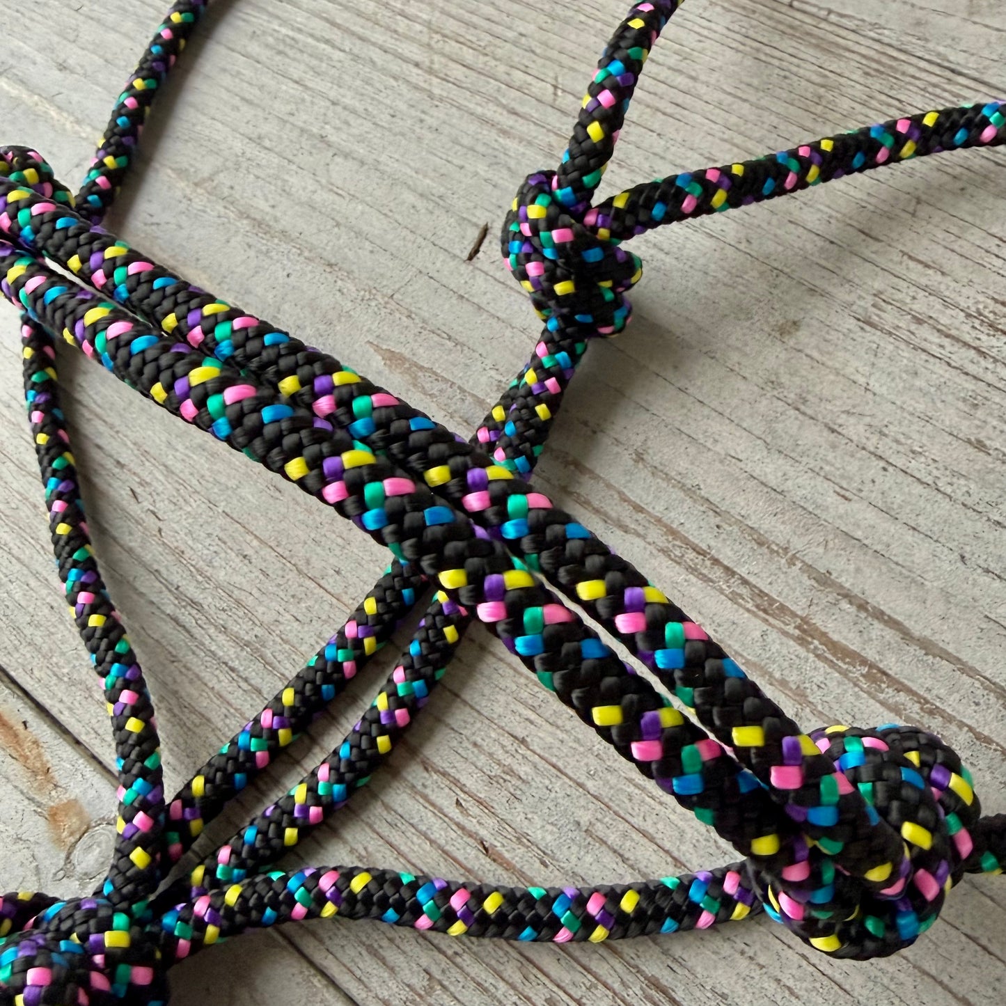 Rope halter sale - Basic rope halter 'Disco dip' black/rainbow