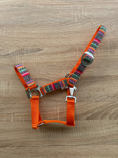 Happy Halsters x FMH - Colourful Panther Exclusive halter various colors