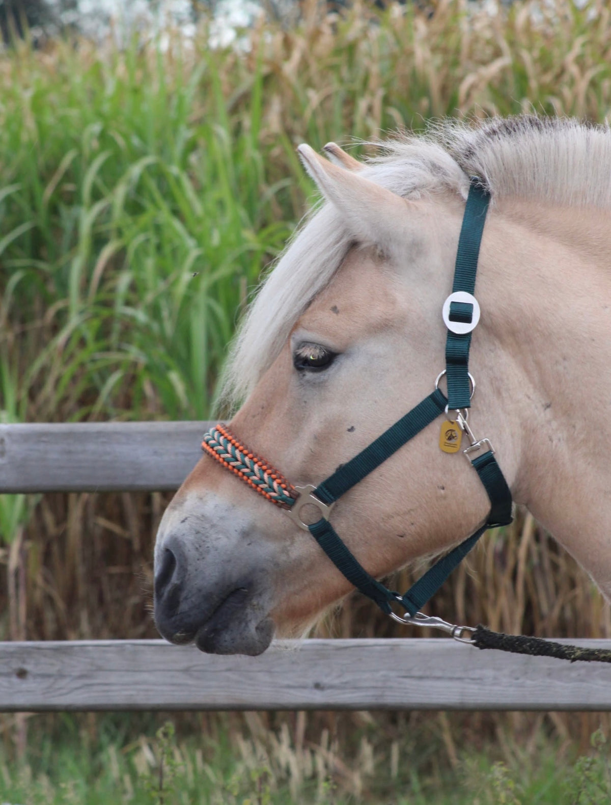 Handmade horse halters - Knotted halter ‘Copper Oak’ dark green/brown/orange