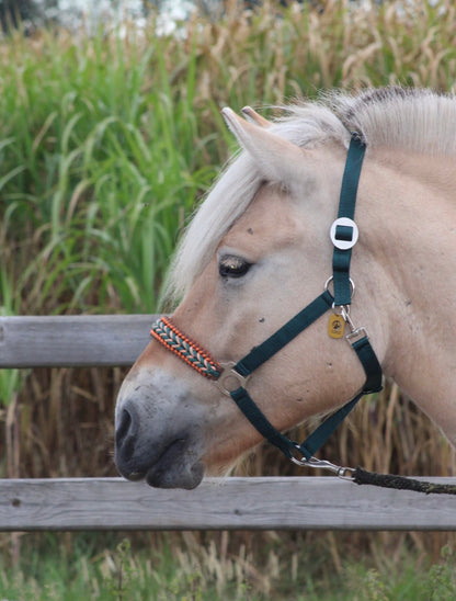 Handmade horse halters - Knotted halter ‘Copper Oak’ dark green/brown/orange