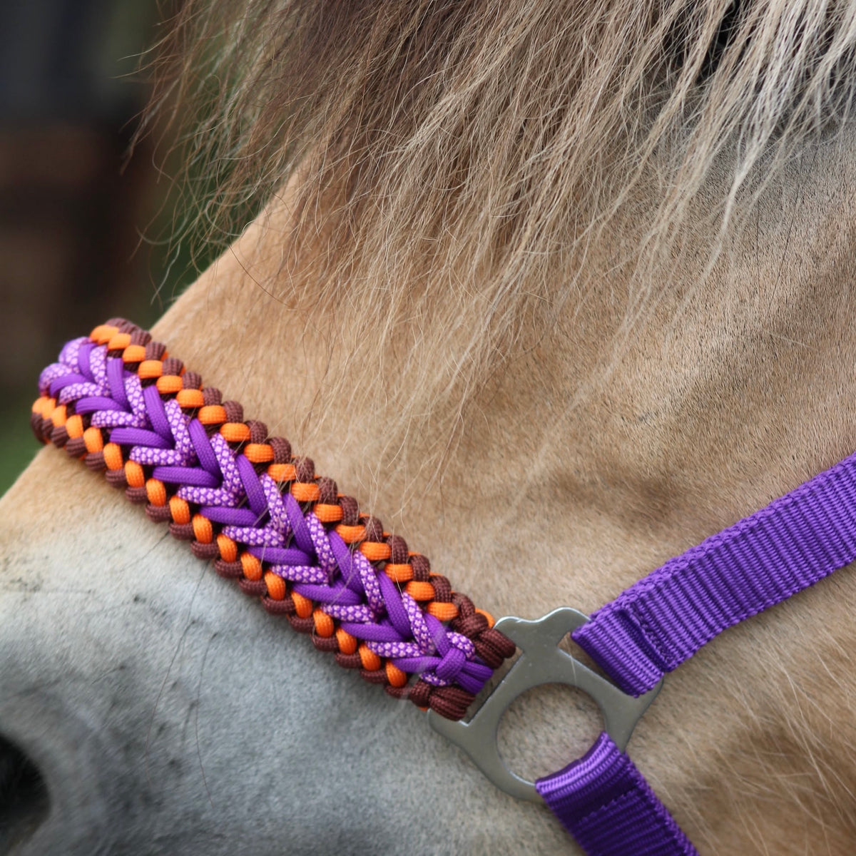 Handgefertigte Pferdehalfter – Geknotetes Halfter „Violet Flame“ lila/orange