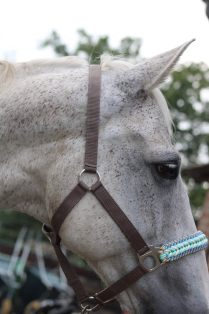 Handgemaakte paardenhalsters - Geknoopt halster ‘Desert Sky’ crème/ mint/ turquoise