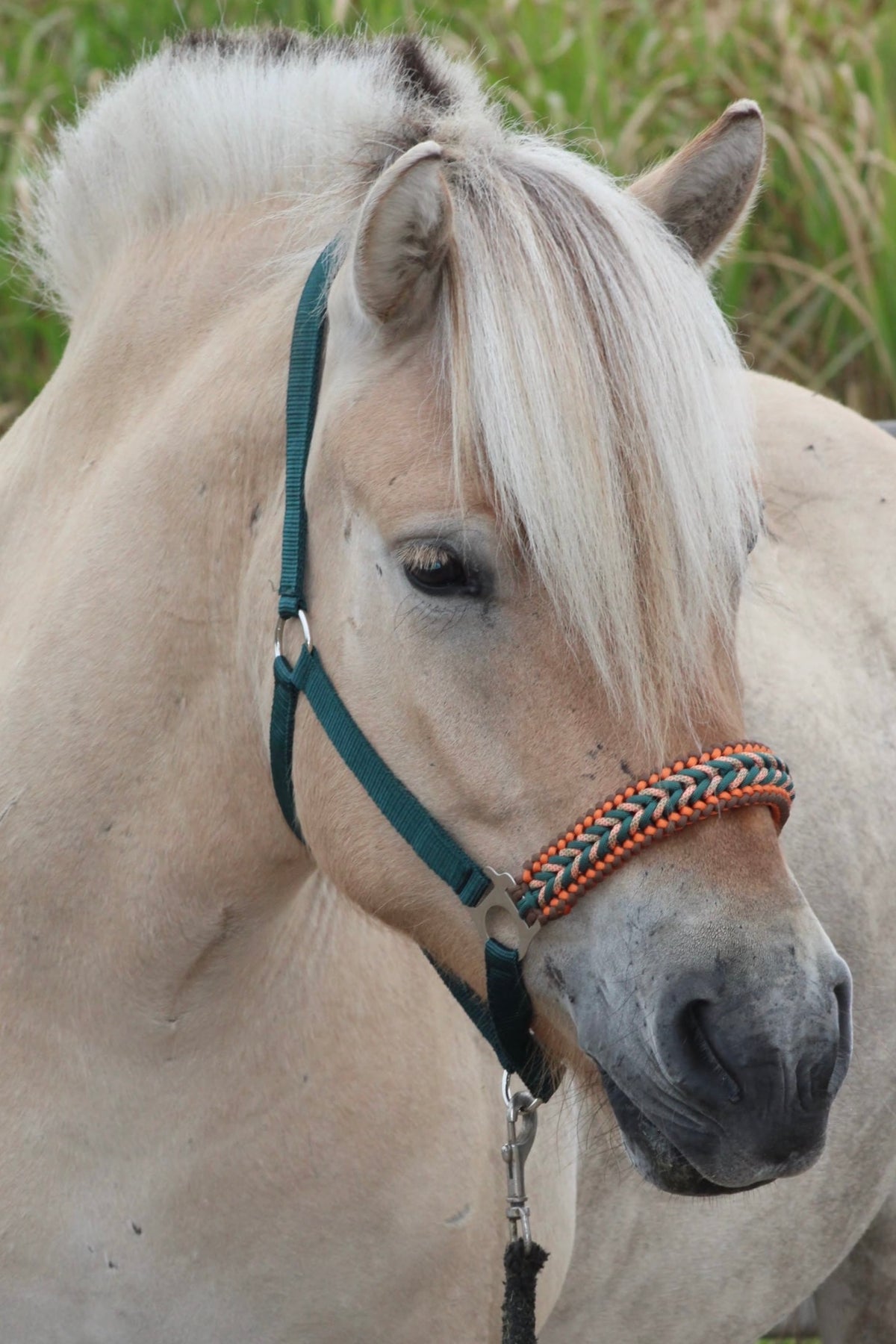 Handmade horse halters - Knotted halter ‘Copper Oak’ dark green/brown/orange