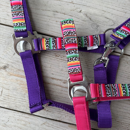 Happy Halsters x FMH - Colourful Panther Exclusive halter various colors