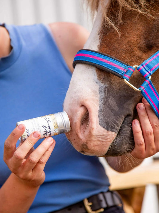 Pippa - Zitronengras &amp; Minze Sommer-Deostick (mit/ohne LSF)