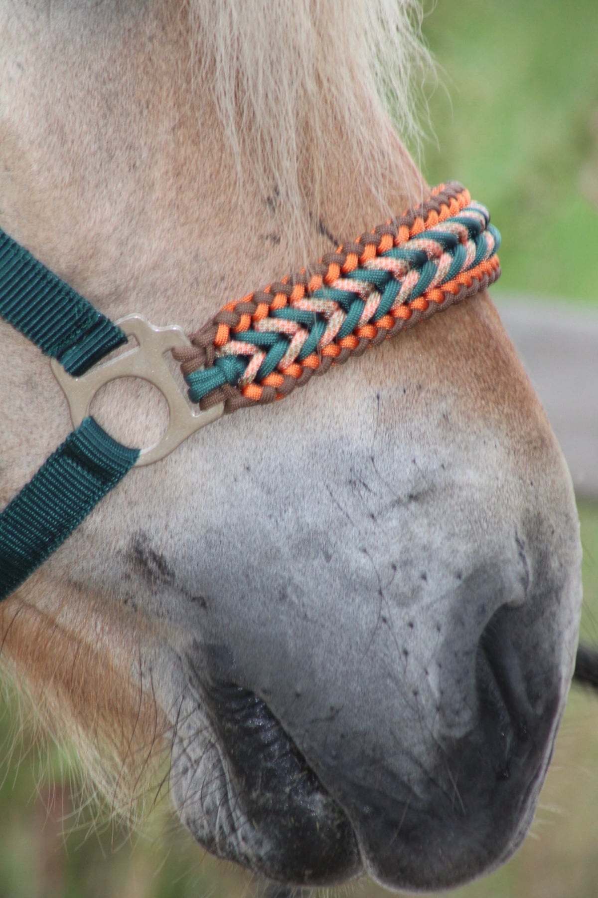 Handmade horse halters - Knotted halter ‘Copper Oak’ dark green/brown/orange