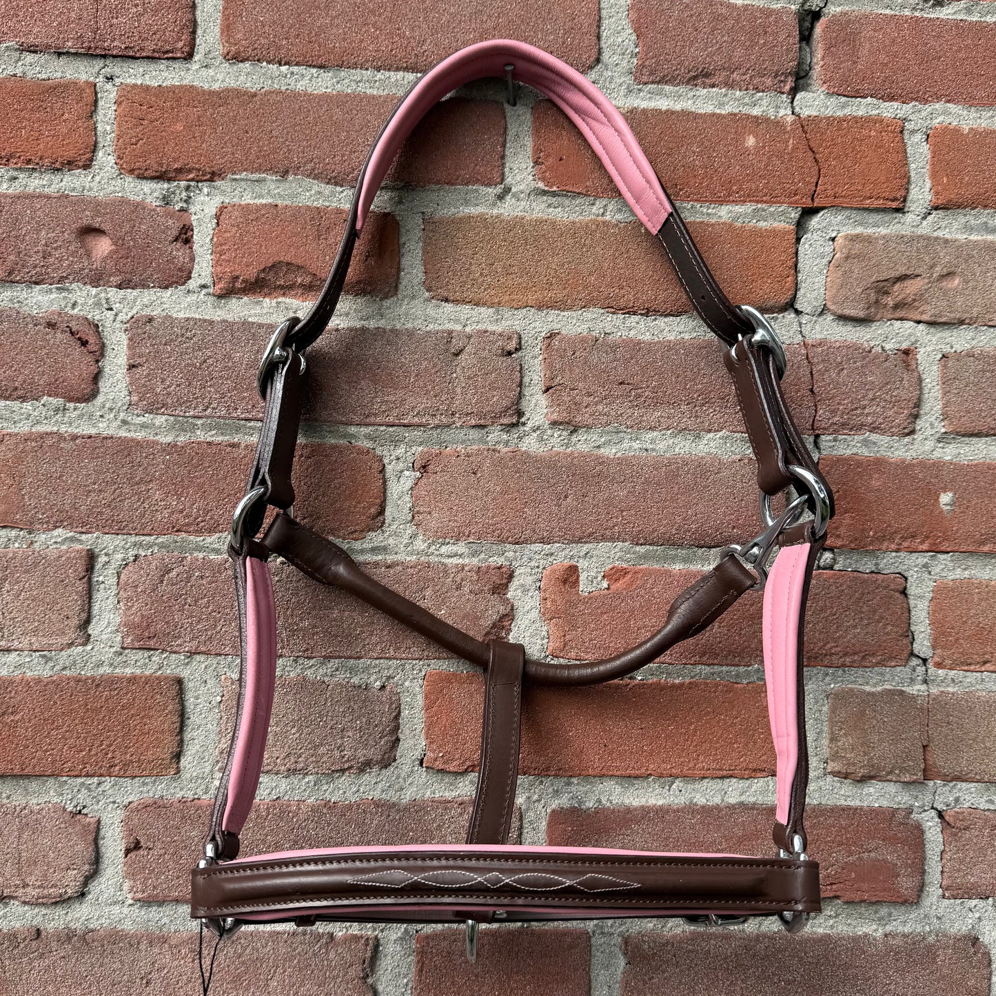 FMH - Havana lederen halster met gekleurde underlayment ‘Blush Colour Pop’