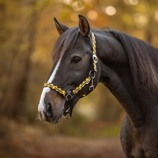 Happy Halsters - Zwart Warning halster