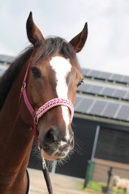 Handgemaakte paardenhalsters - Geknoopt halster ‘Belle Amour’ oudroze/ bordeaux/ roze