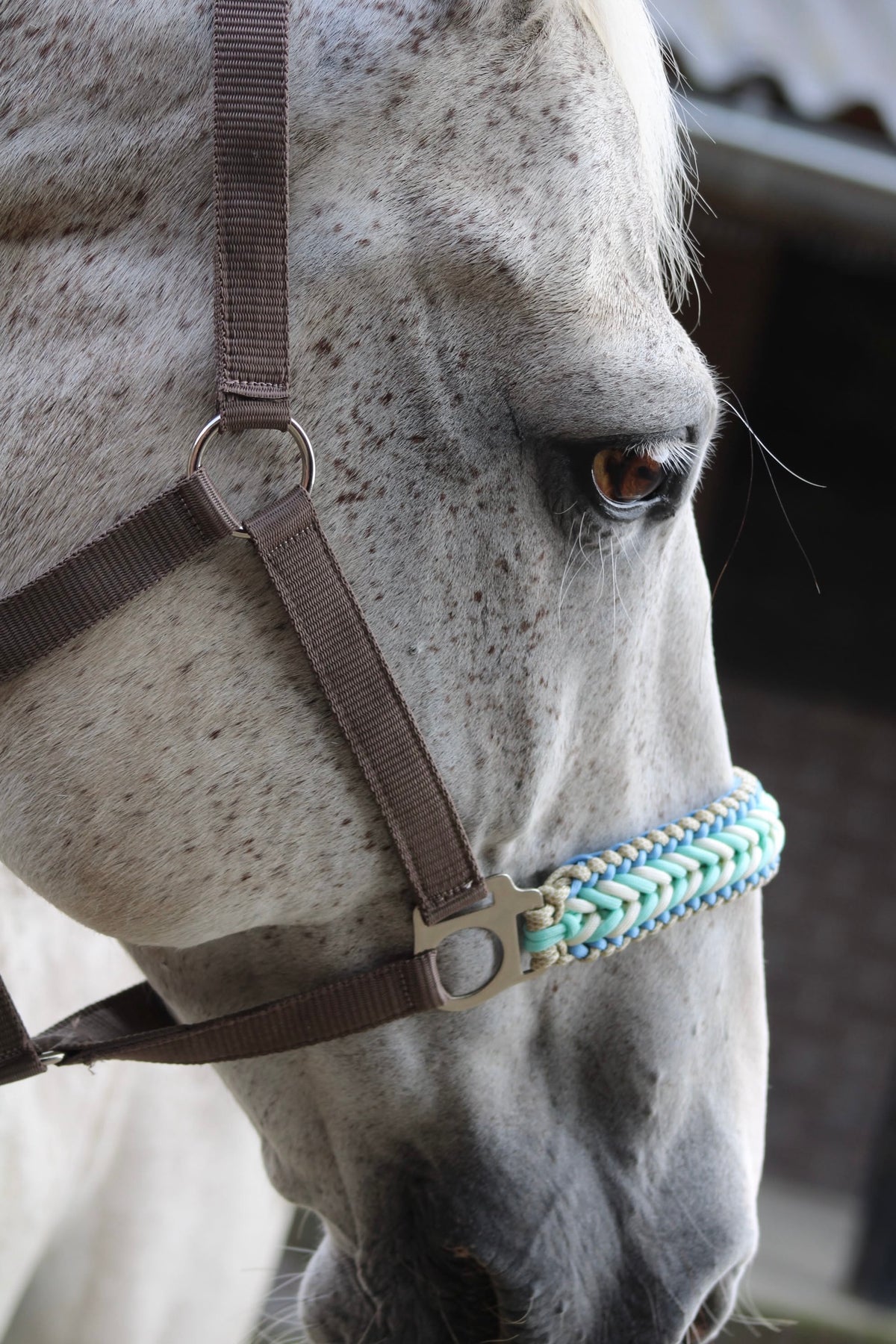Handgemaakte paardenhalsters - Geknoopt halster ‘Desert Sky’ crème/ mint/ turquoise