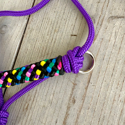 Rope halter sale - Rope halter set riding halter + reins 'Disco dip' purple/ rainbow
