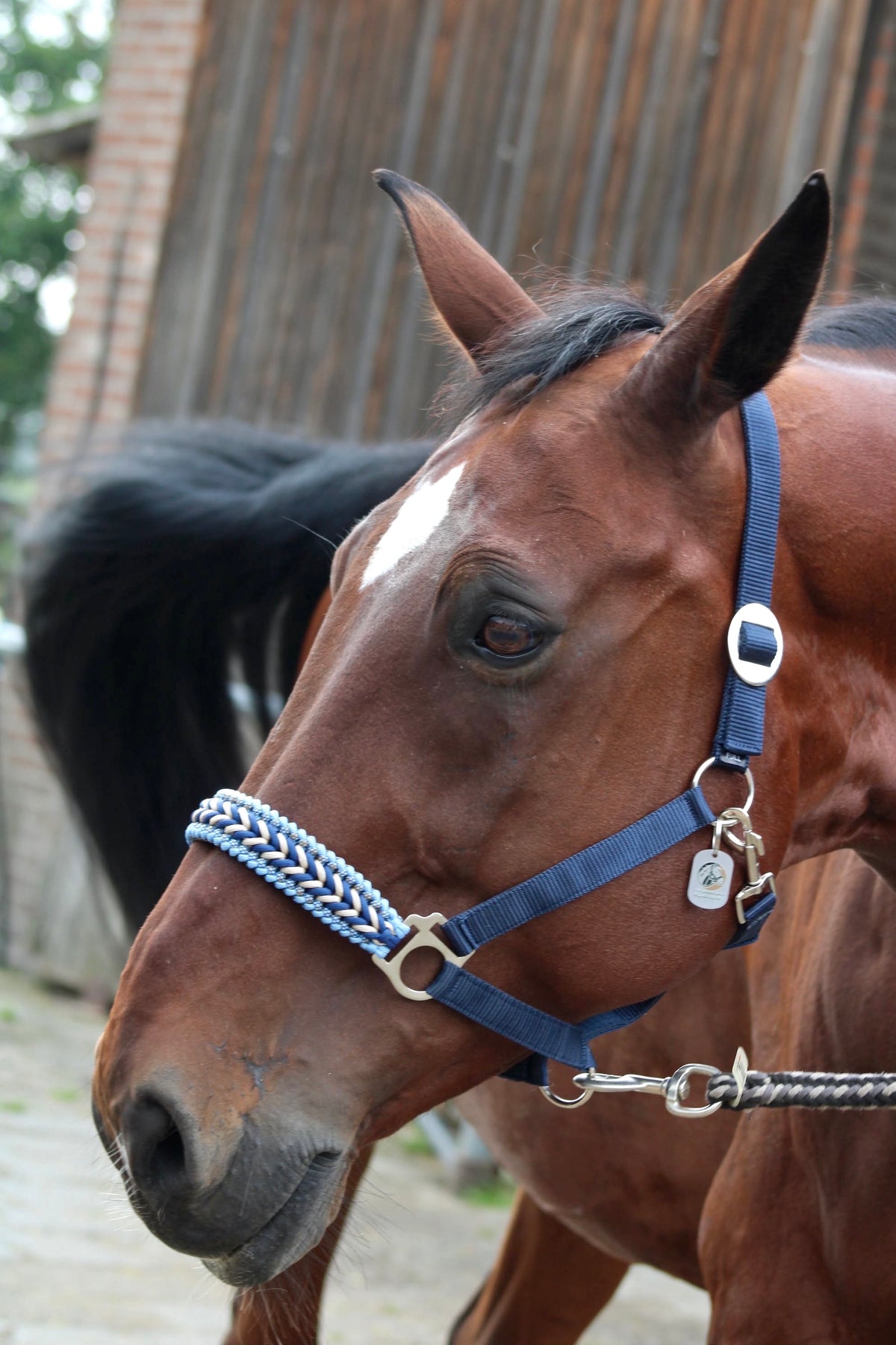 Handmade horse halters - Knotted halter ‘Blue Jeans’ dark blue/light blue