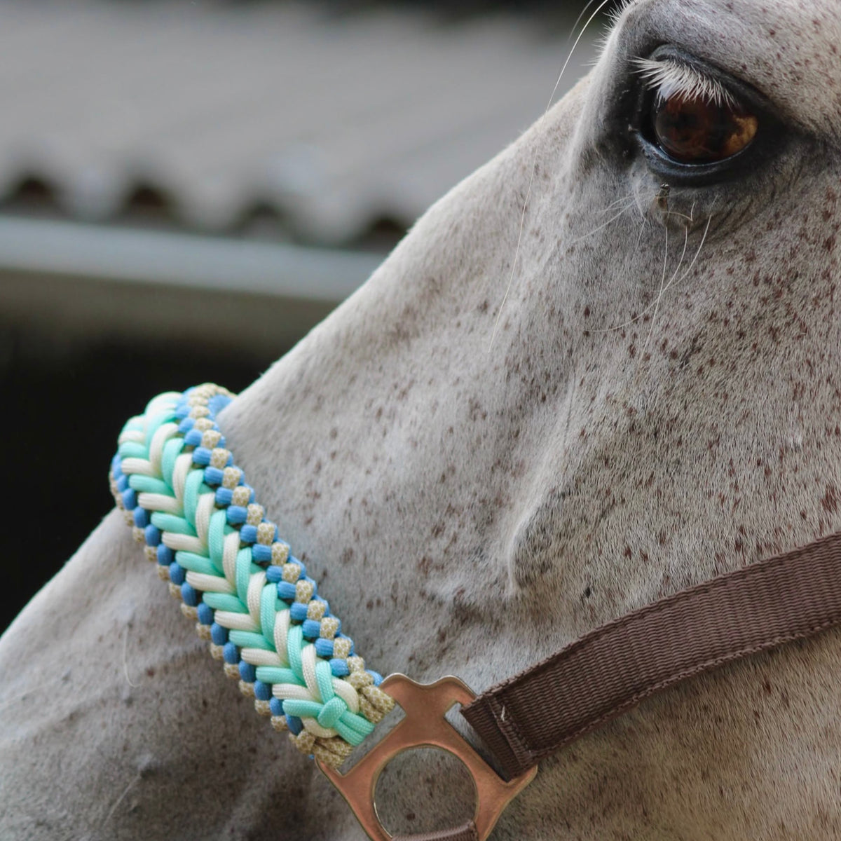 Handgemaakte paardenhalsters - Geknoopt halster ‘Desert Sky’ crème/ mint/ turquoise
