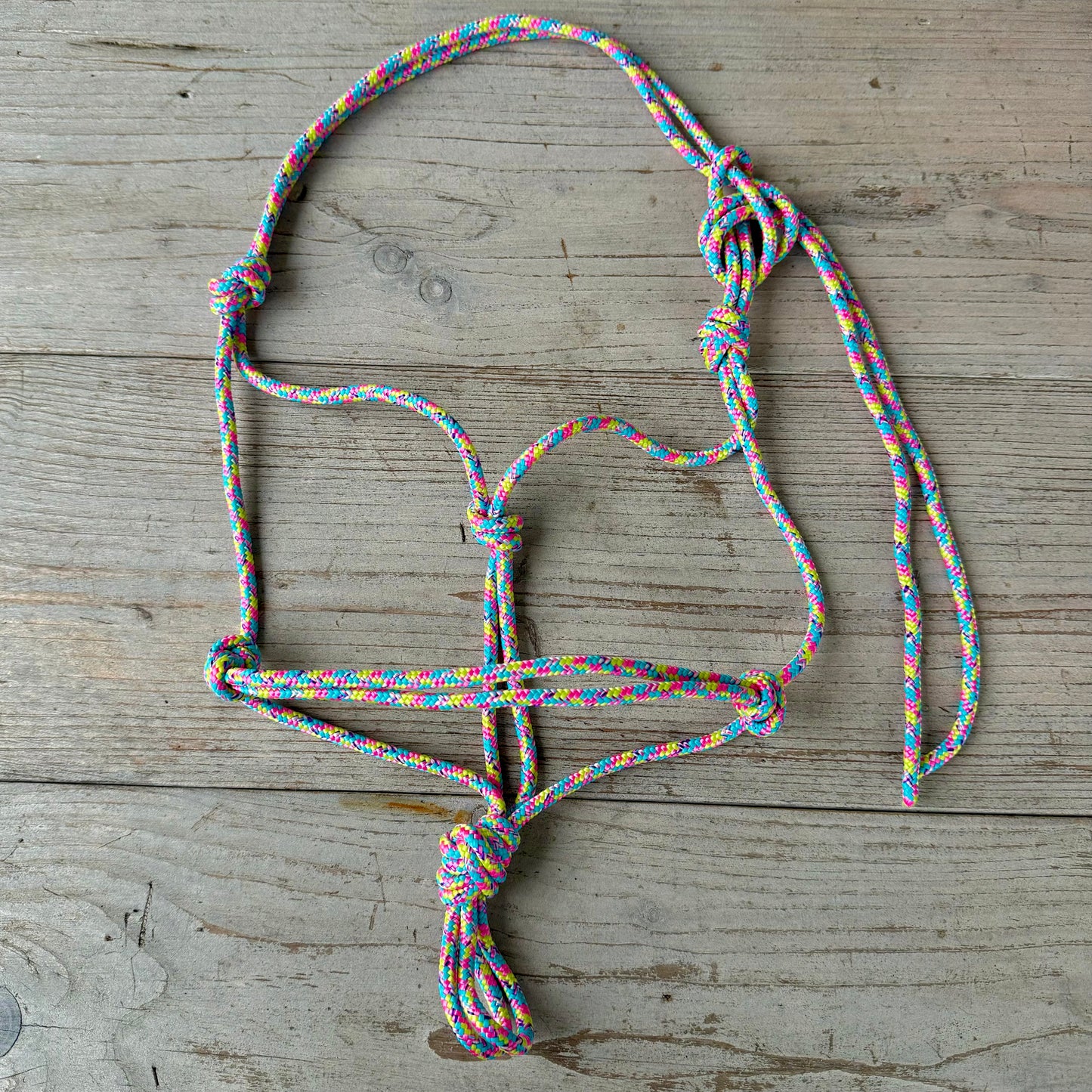 Touwhalsterverkoop - Basic touwhalster ‘Pastel Rainbow’ regenboog