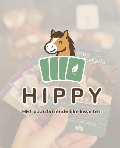 HIPPY - Das pferdefreundliche HIPPY Quartett  
