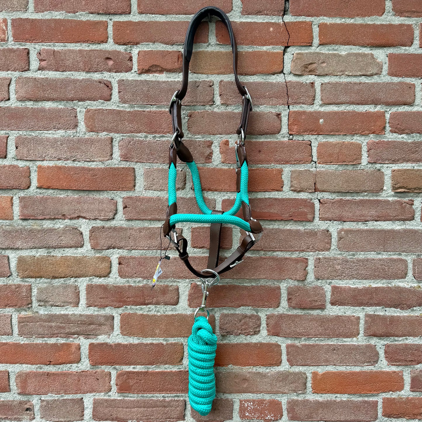 FMH - Havana lederen halsterset met gekleurd touw incl. halstertouw ‘Aqua Heritage’