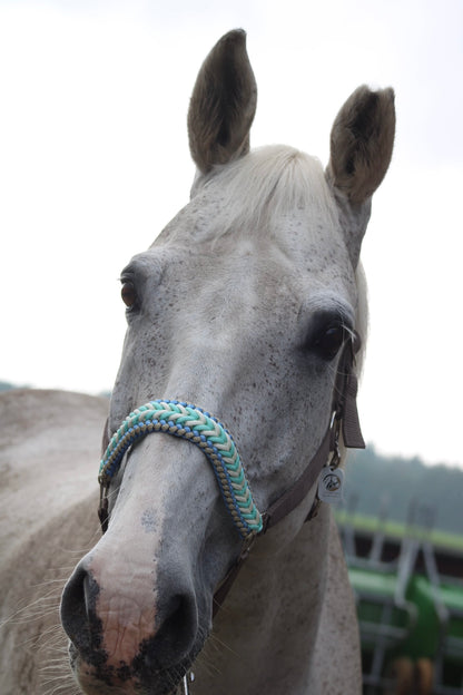 Handgemaakte paardenhalsters - Geknoopt halster ‘Desert Sky’ crème/ mint/ turquoise