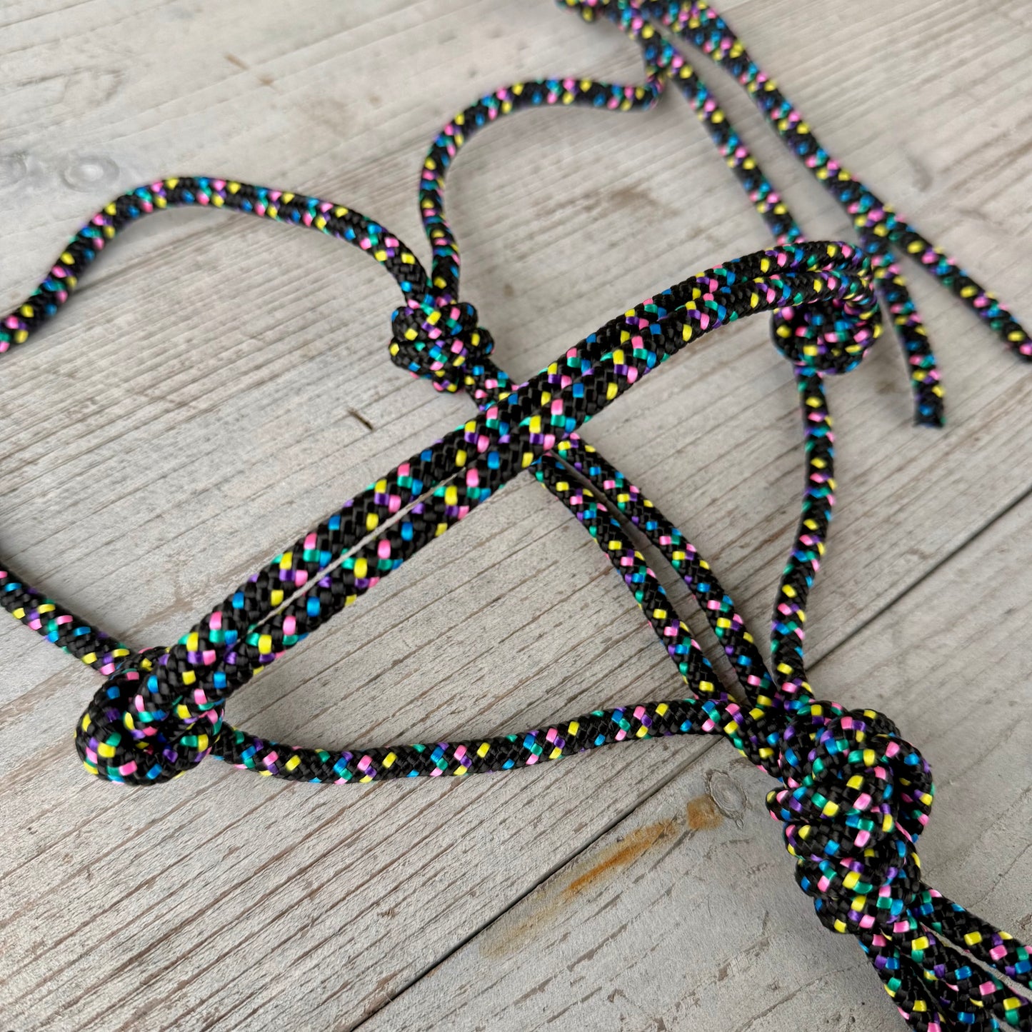 Rope halter sale - Basic rope halter 'Disco dip' black/rainbow
