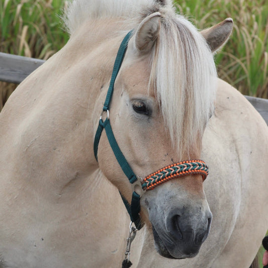 Handgemaakte paardenhalsters - Geknoopt halster ‘Copper Oak’ donkergroen/ bruin/ oranje