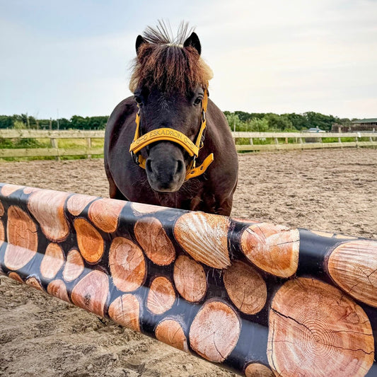 Jumpbanners - Hinderniszeil Bixie Woodie