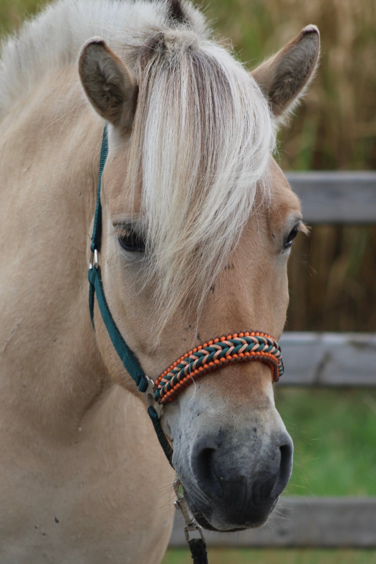 Handmade horse halters - Knotted halter ‘Copper Oak’ dark green/brown/orange