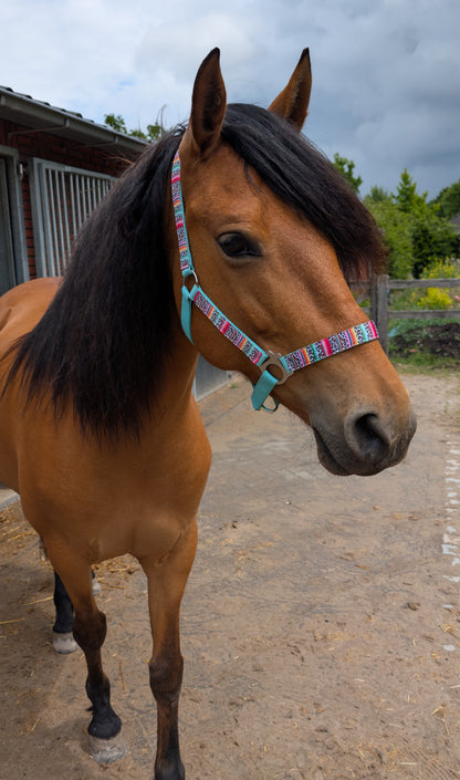Happy Halsters x FMH - Colourful Panther Exclusive halter various colors