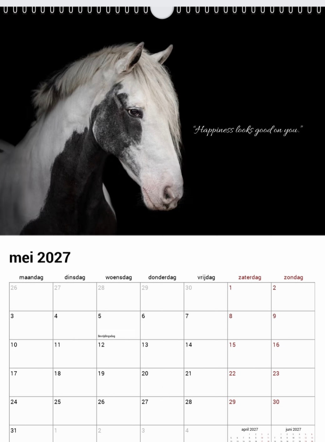 Take That Memory - A4 Jaarkalender 2027 Blackphoto Paarden