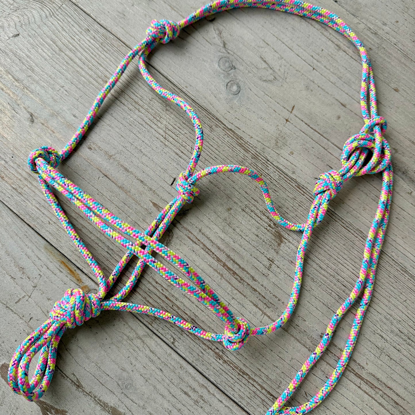 Touwhalsterverkoop - Basic touwhalster ‘Pastel Rainbow’ regenboog