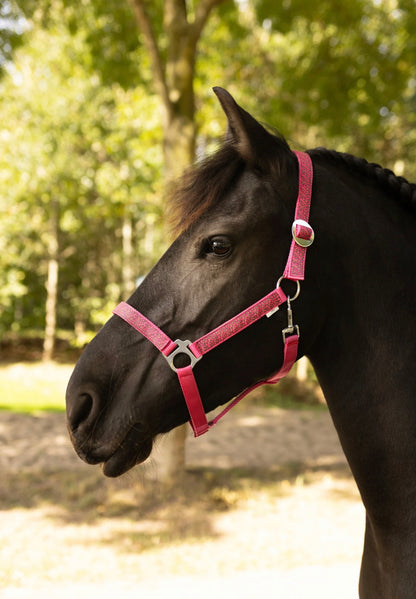 Happy Halsters - Fuchsia Panther Halfter