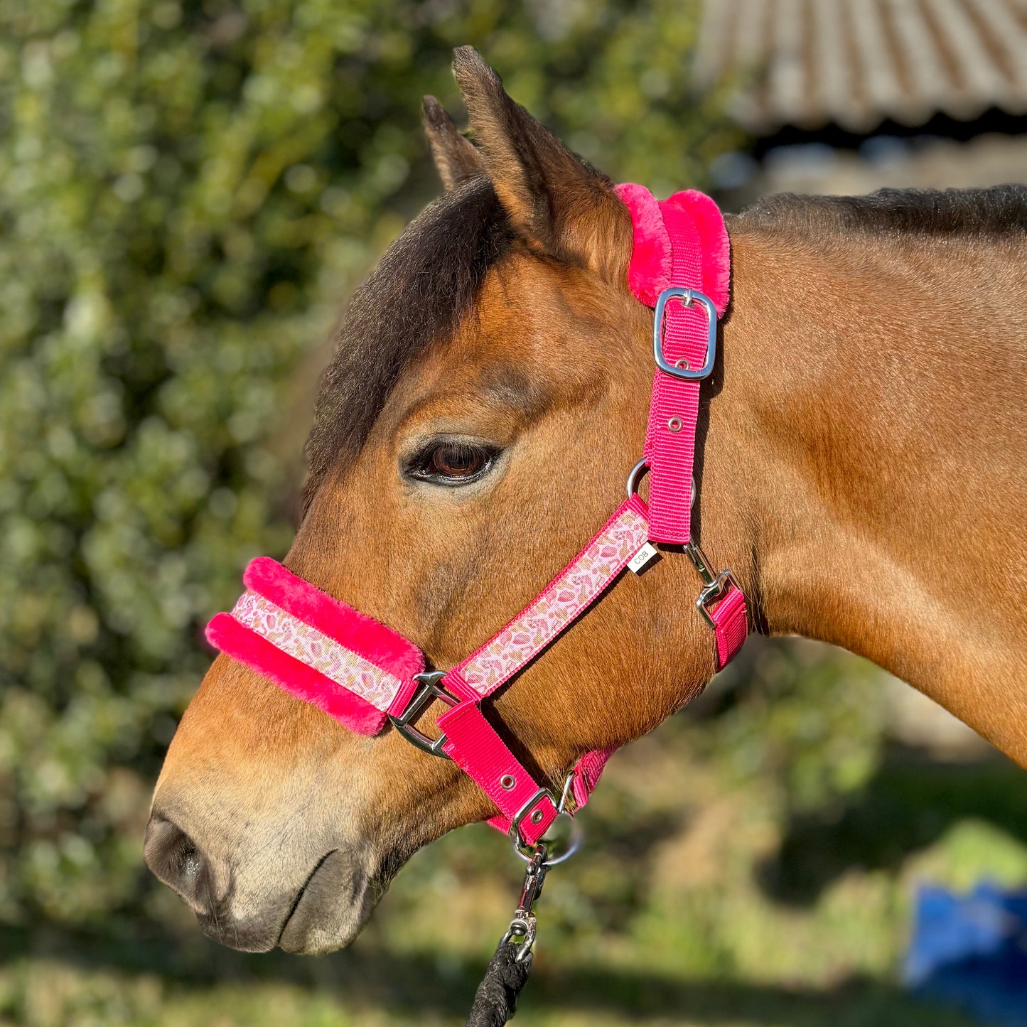 Happy Halsters x FMH - Capestro Pink Cowgirl Exclusive (pelliccia) vari colori