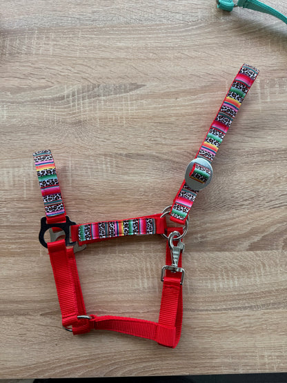 Happy Halsters x FMH - Colourful Panther Exclusive halter various colors