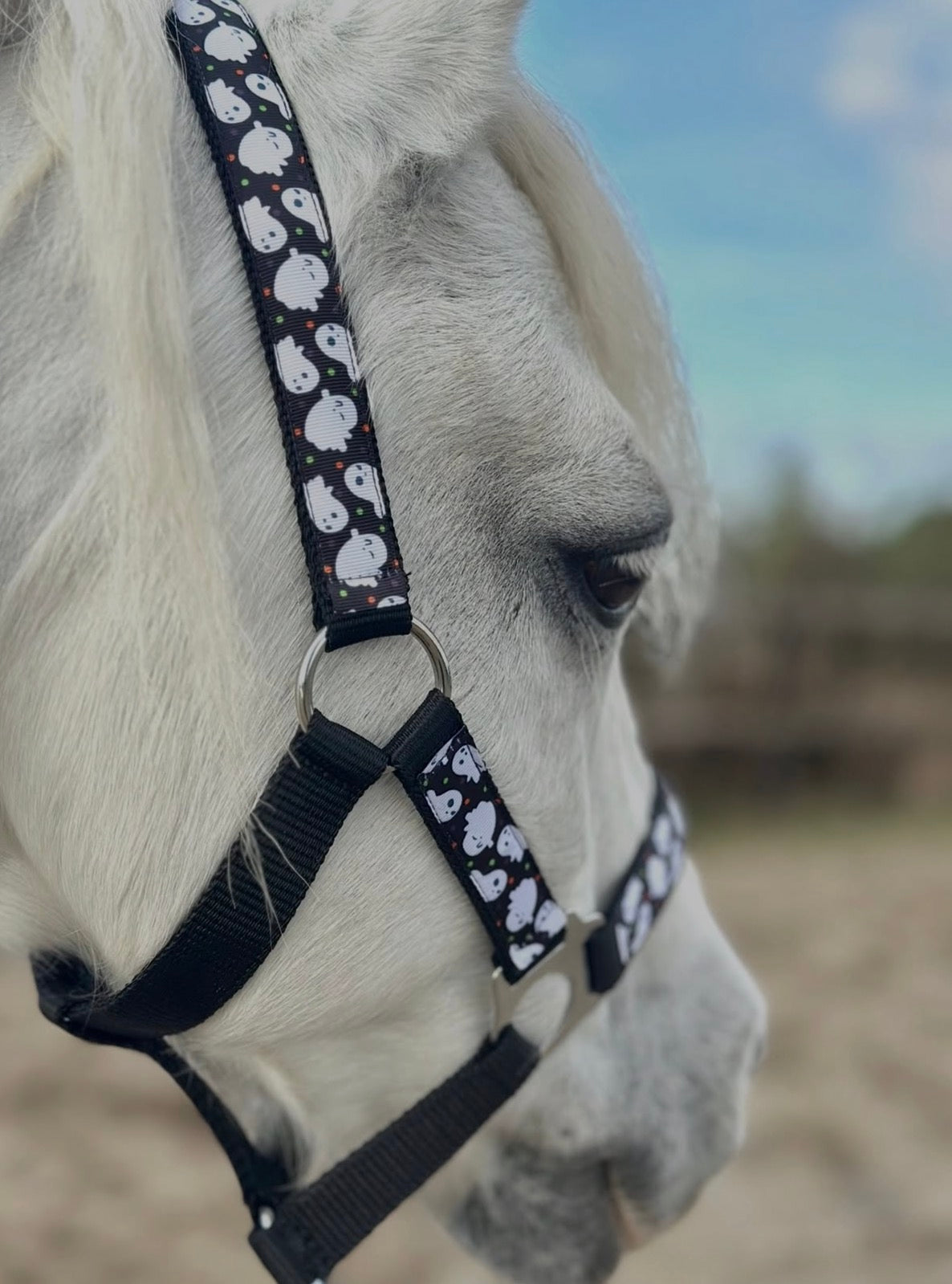 Happy Halster x FMH - Boo-tiful Halloween Exclusive capezza nera