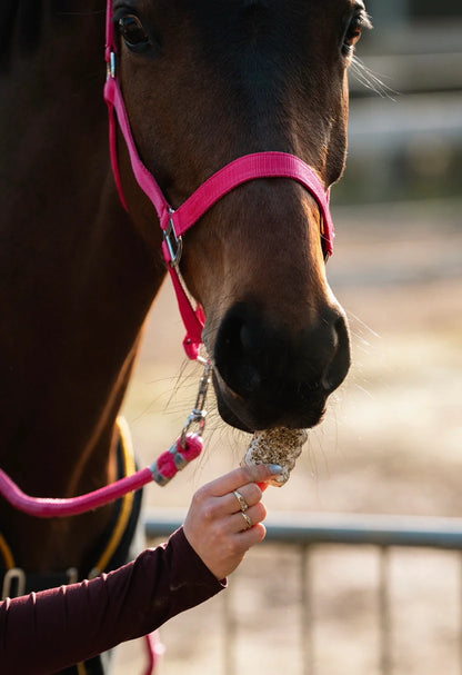 The Horse Tea Company - Paardenkoekjes HealTea Summer Biscuits met icing 3st