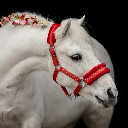 Happy Halters - Halfter mit rotem Herz (farbig)