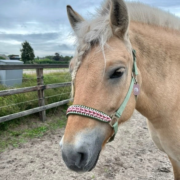 Handgemaakte paardenhalsters - Geknoopt halster ‘Wild Rebel’ Olijf/roze