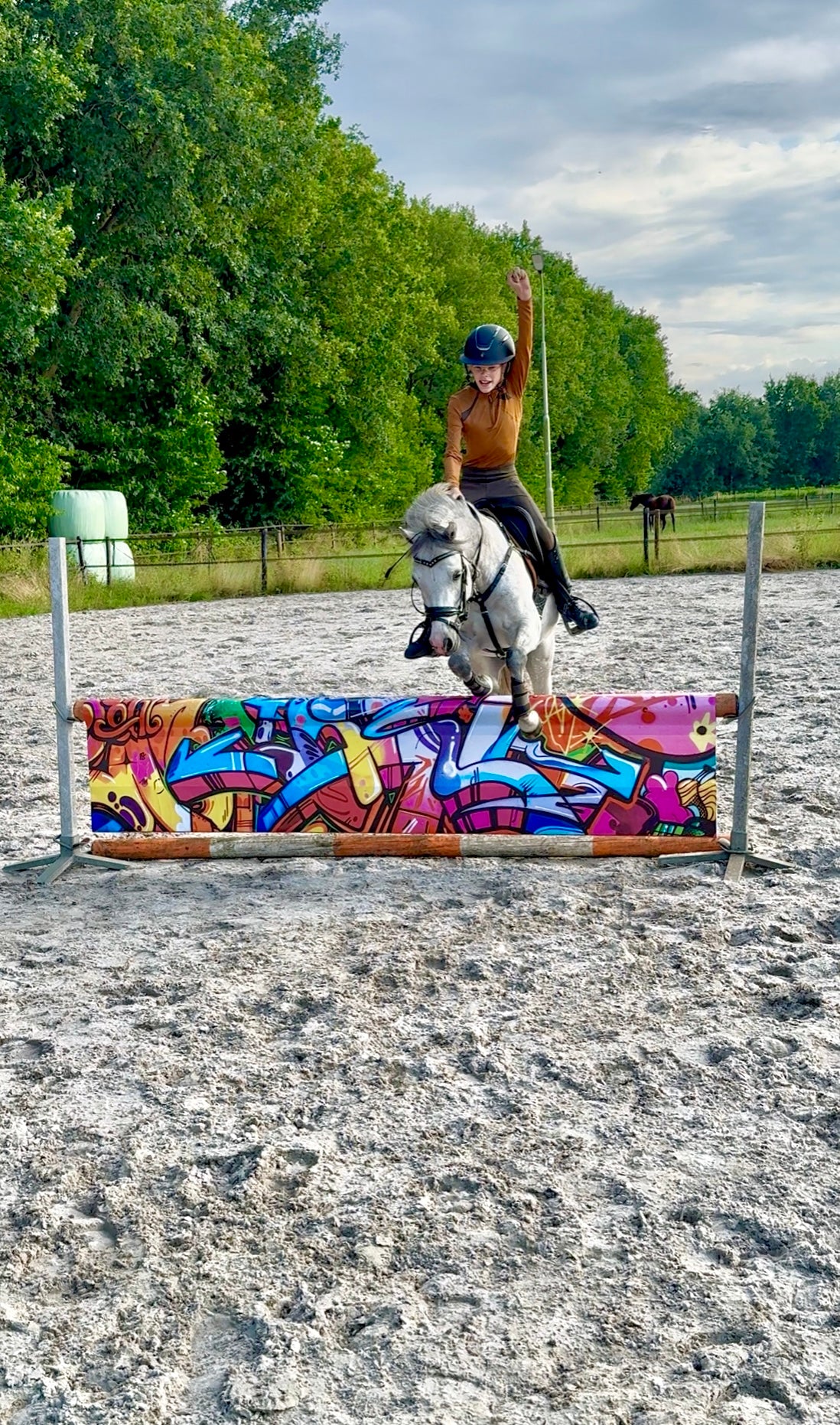 Jumpbanners - Hinderniszeil Standard Graffiti