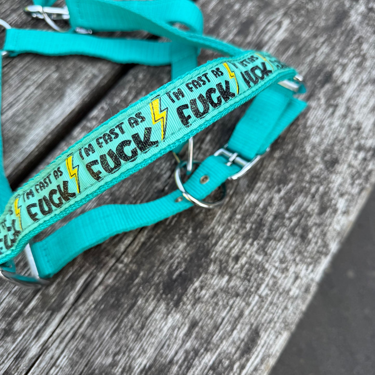 FMH - Nylon turquoise halster ‘Fast as F*CK’