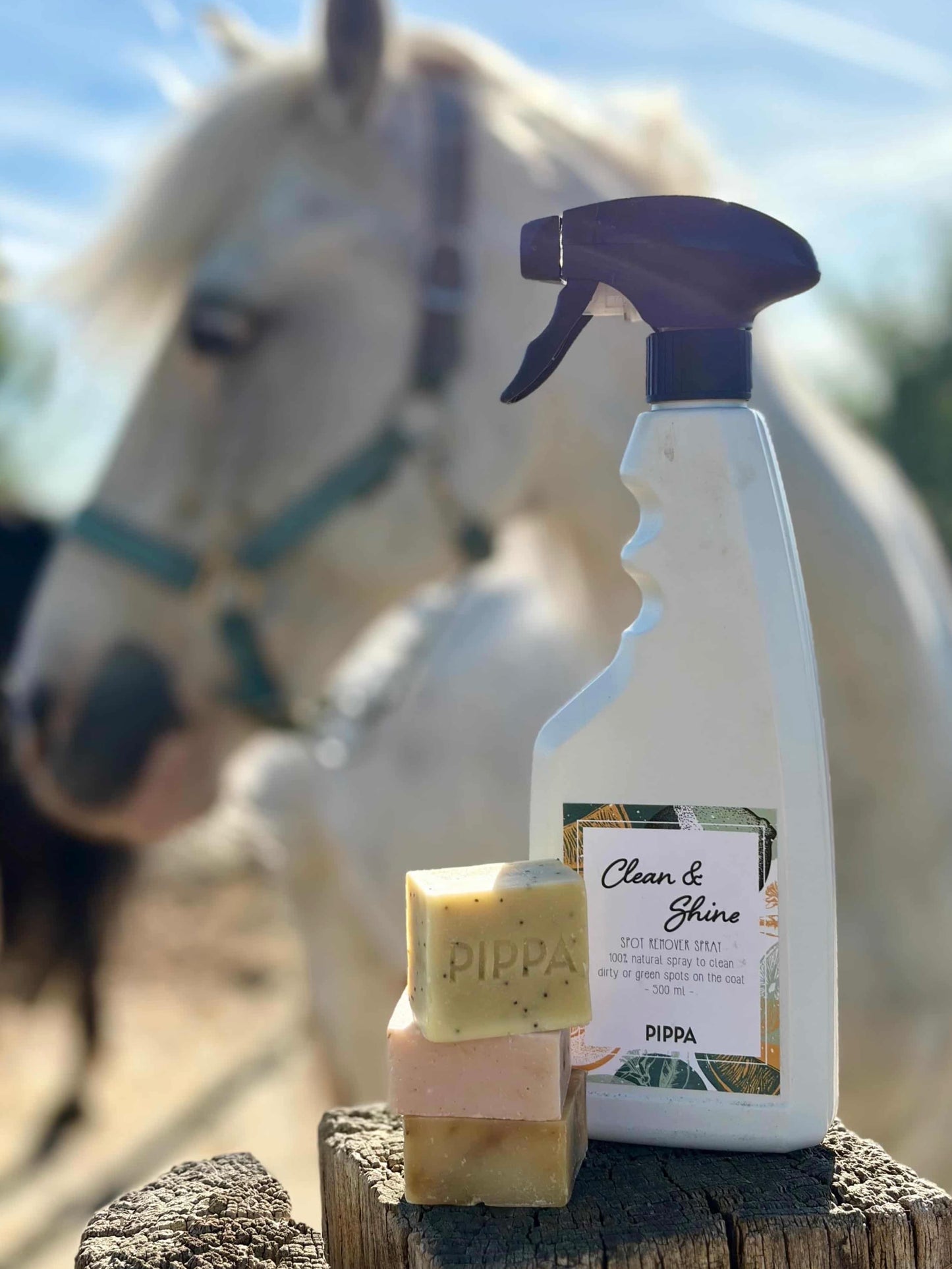 PIPPA - Spray Clean & Shine per rimuovere macchie