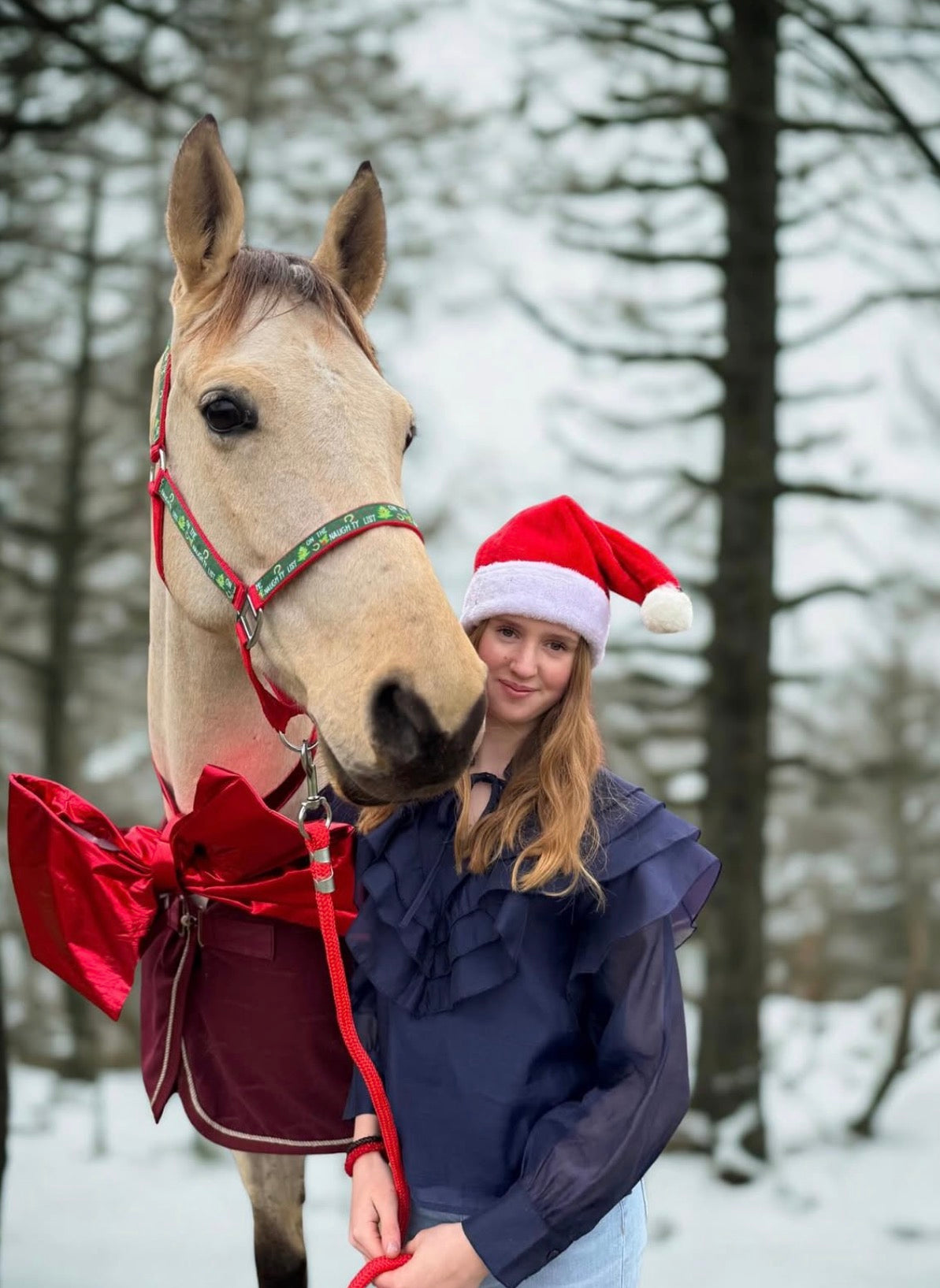 Happy Halster x FMH - Naughty Horse Exclusive Kerst halster div. kleuren