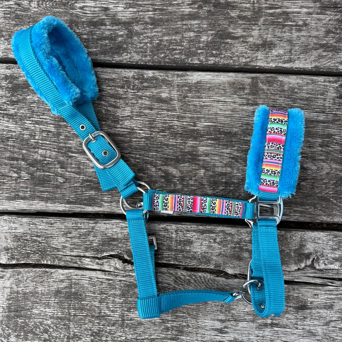 Happy Halsters x FMH - Colourful Panther Exclusive halster Turquoise blauw COB (++)
