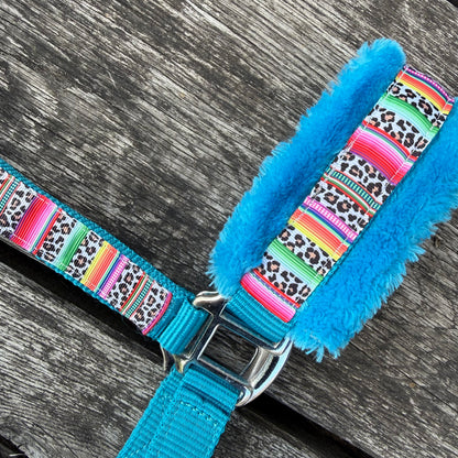 Happy Halsters x FMH - Colourful Panther Exclusive halster Turquoise blauw COB (++)