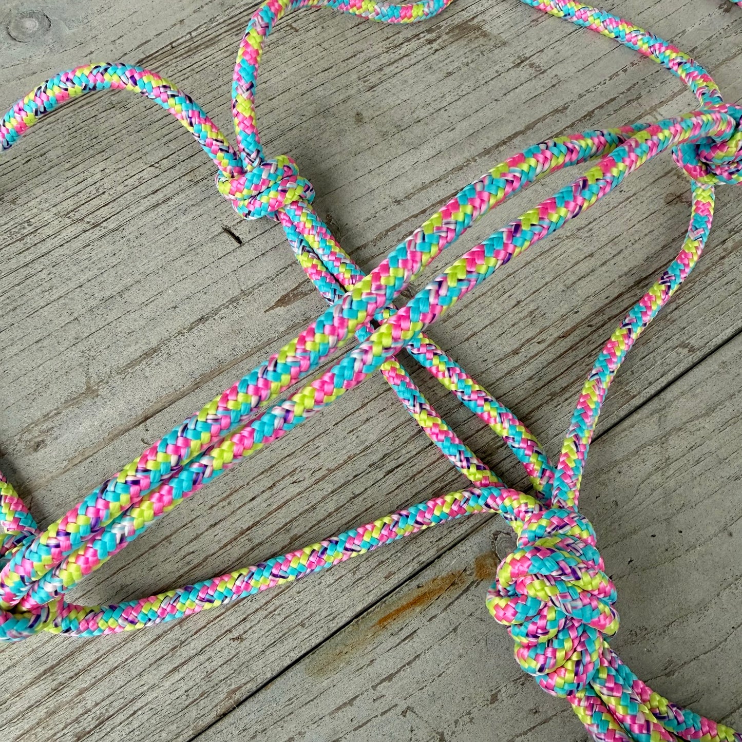 Touwhalsterverkoop - Basic touwhalster ‘Pastel Rainbow’ regenboog