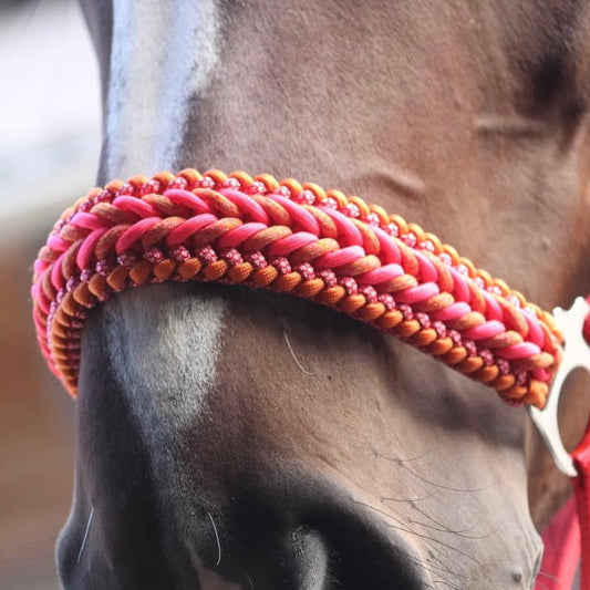 Handgemaakte paardenhalsters - Geknoopt halster ‘Candy Crush’ rood/oranje/roze
