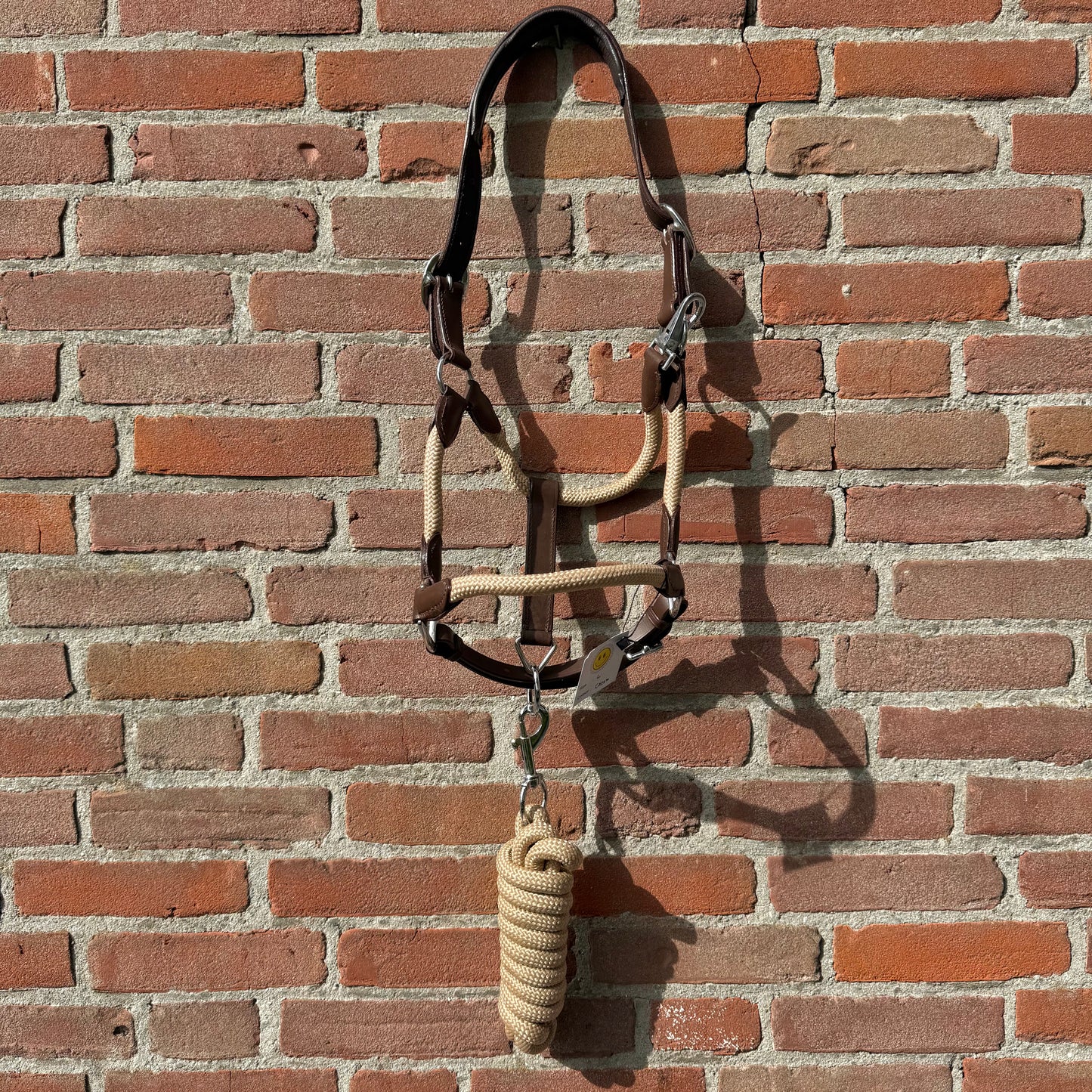 FMH - Havana lederen halsterset met gekleurd touw incl. halstertouw ‘Cream Heritage’