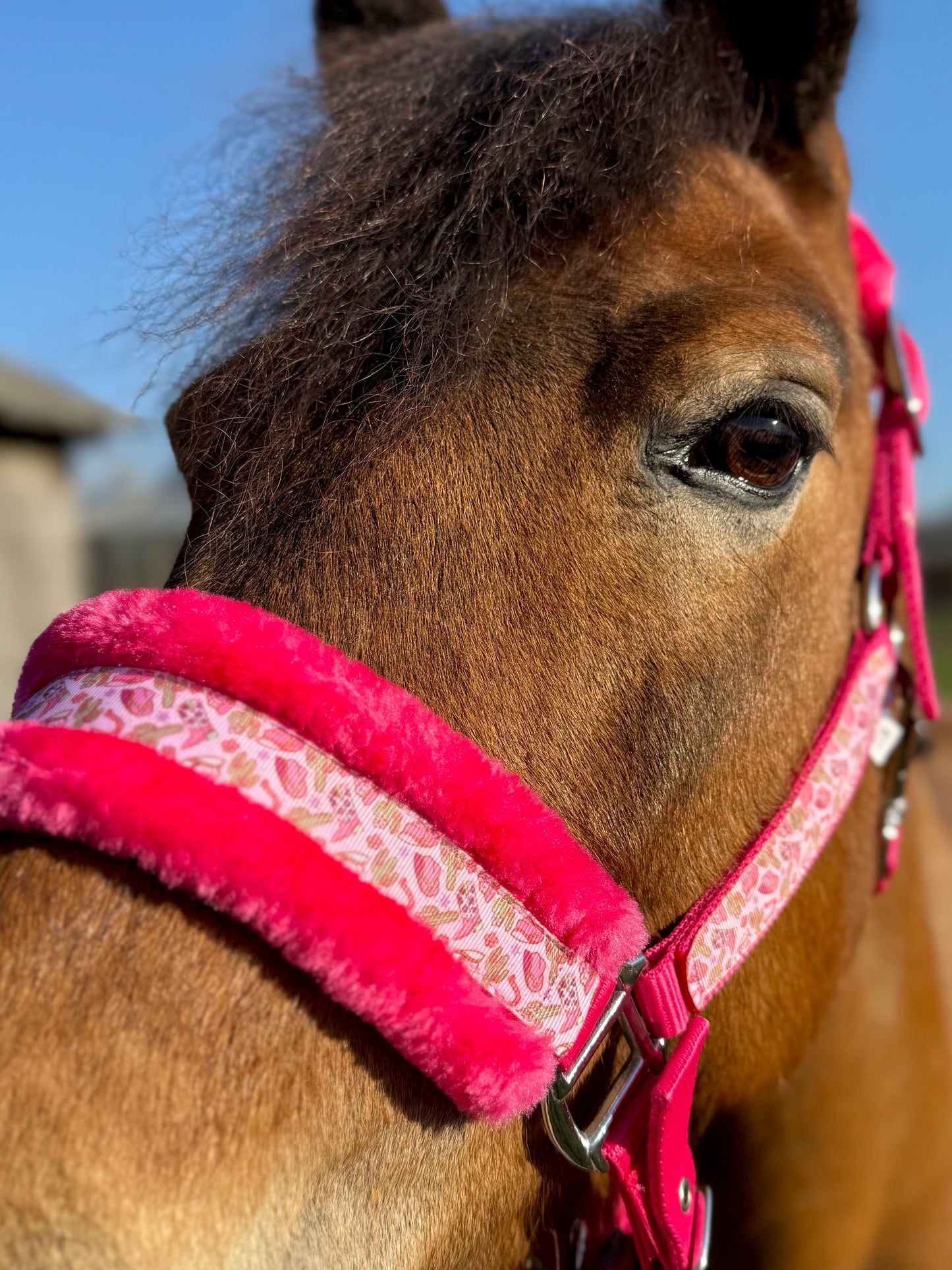 Happy Halsters x FMH - Capestro Pink Cowgirl Exclusive (pelliccia) vari colori
