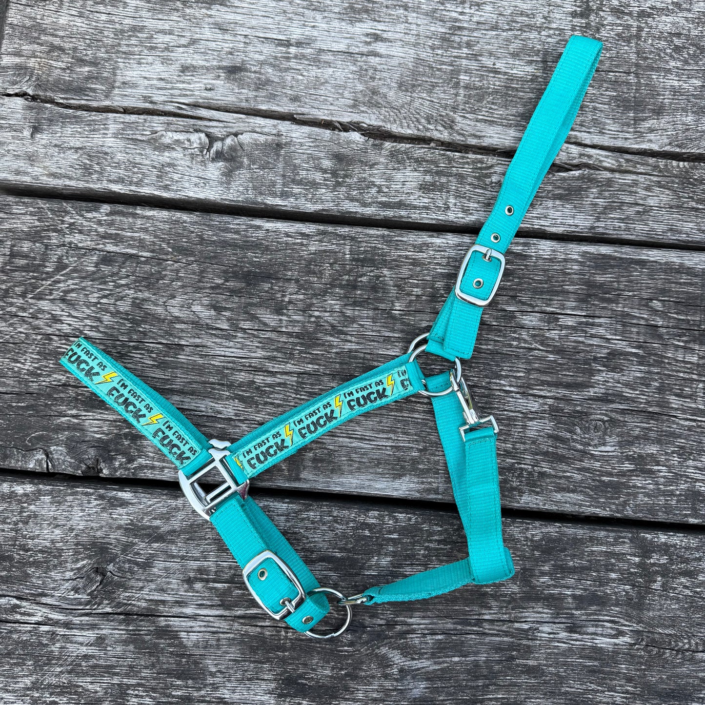 FMH - Nylon turquoise halster ‘Fast as F*CK’