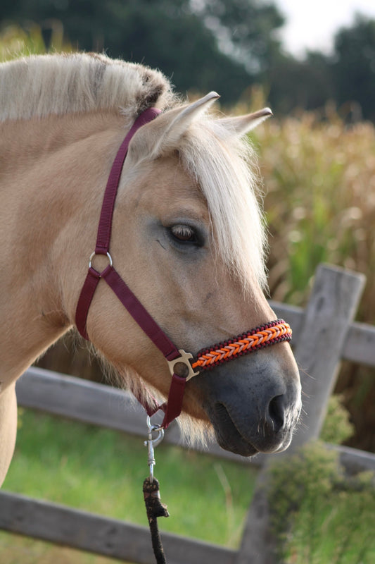 Handgemaakte paardenhalsters - Geknoopt halster ‘Bonfire’ bordeaux/ bruin/ oranje